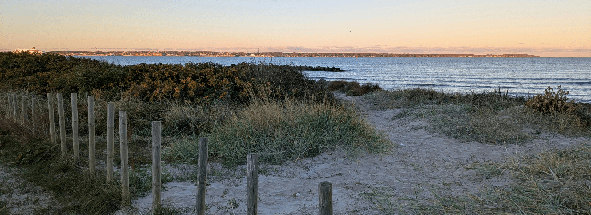A sandy path leads through tall grass and bushes toward a calm sea under a pastel sky.